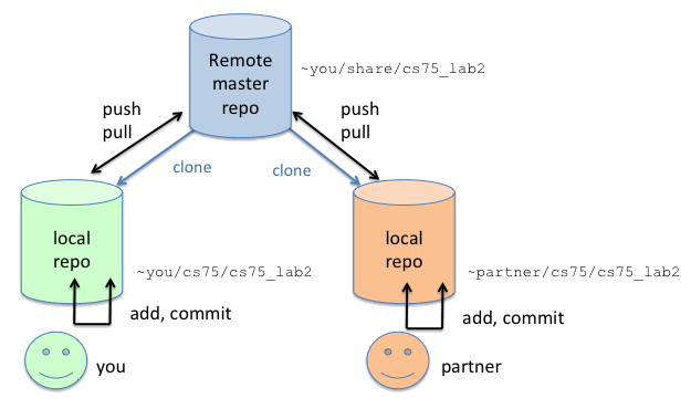 Git Basics And Useful Commands Git Workshop