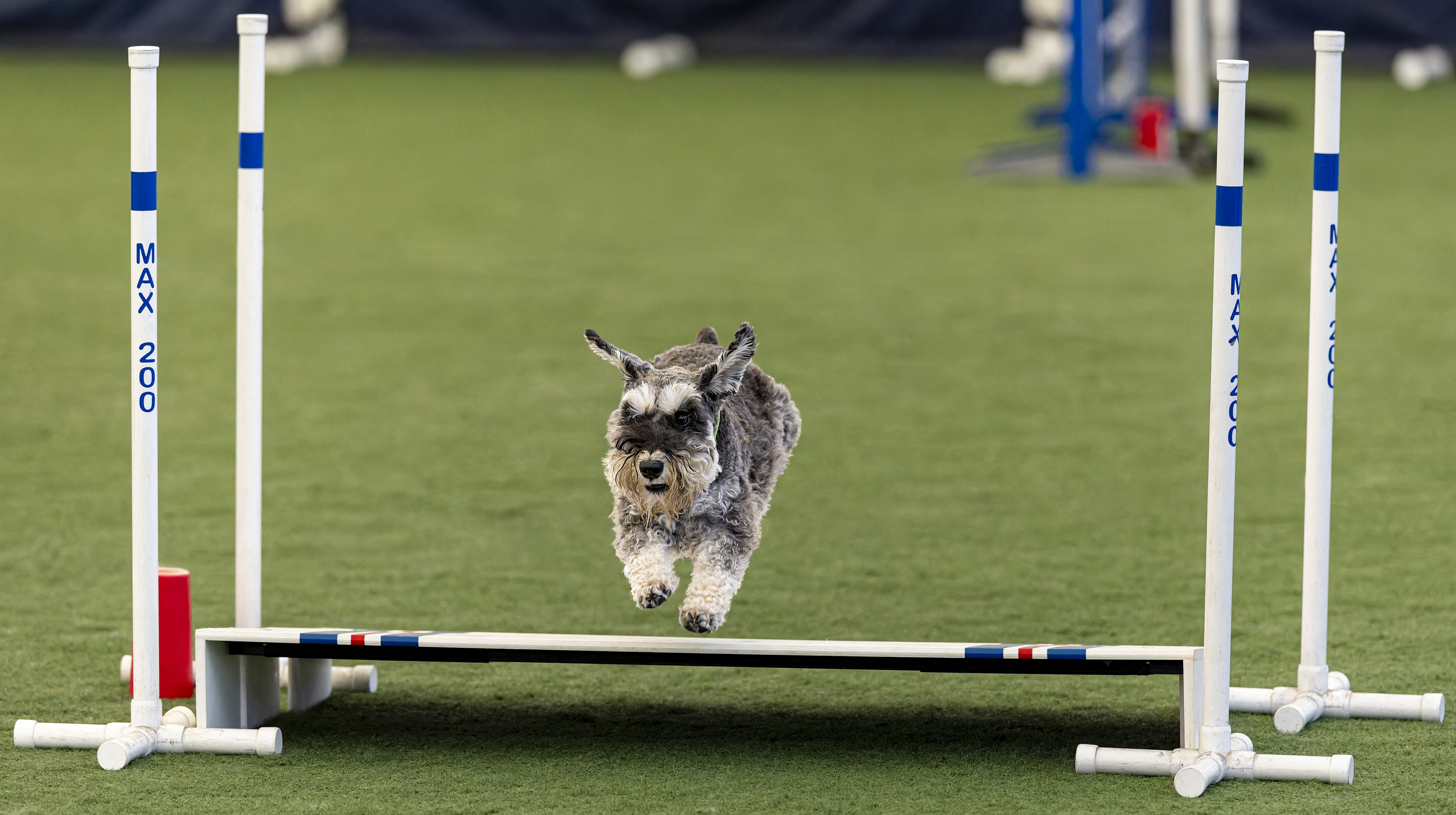 Ika broad jump 1