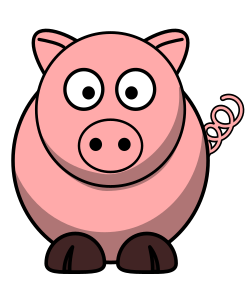 Pig